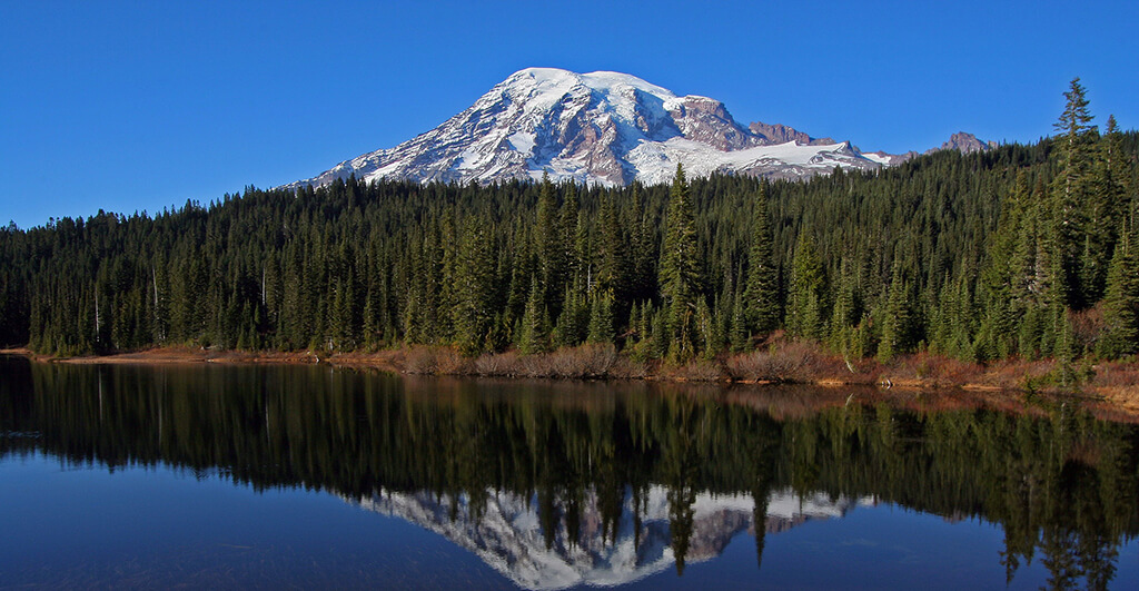 Mount Rainier National Park